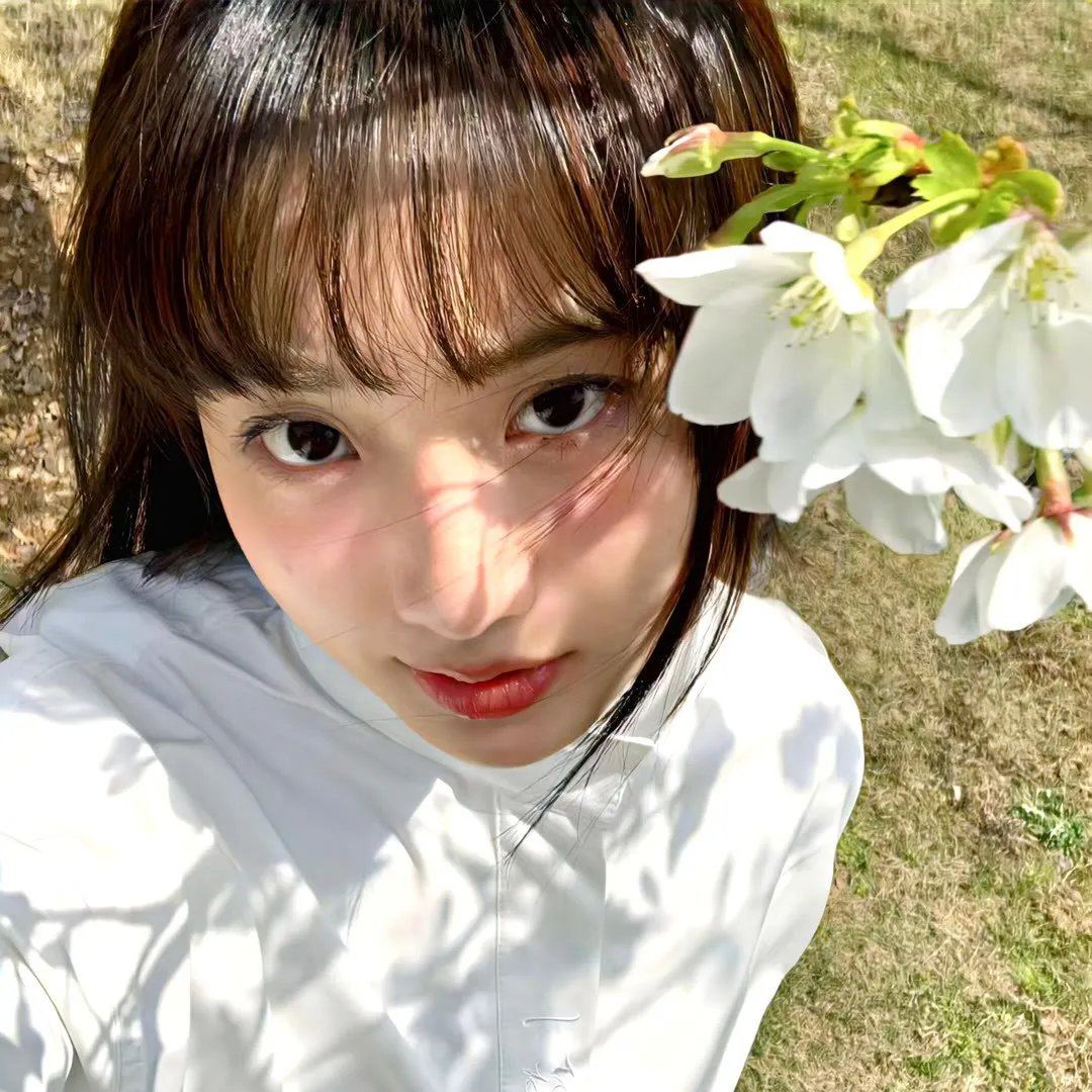 绿草如阴